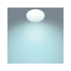 Philips Lighting TOBA CL505 SS RD 23W 27-65K W HV RC 06 Hot