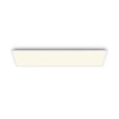 Philips Lighting Touch ceiling CL560 SS RT 36W 27K W HV06 Online