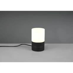 Trio ARY II - 591000132 excl.1xE14 Hot