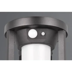 Trio CARMO - 241069132 incl.1x2W LED/130Lm/3000K Discount