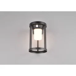 Trio CARMO - 241069132 incl.1x2W LED/130Lm/3000K Discount