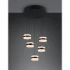 Trio Dios Hanglamp 5xLED 800lm mat zwart (331430532) New