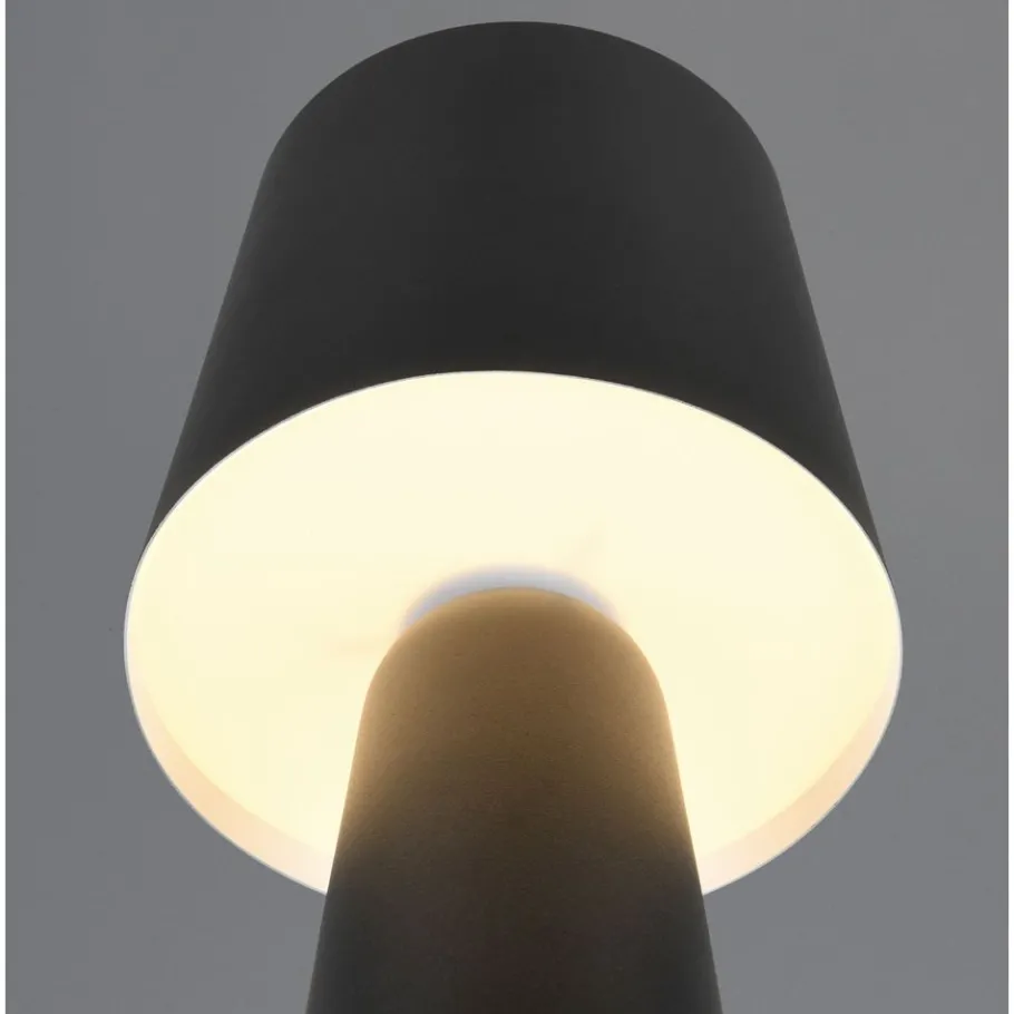 Trio NUBIAN - 562900132 excl.1xE27 Best